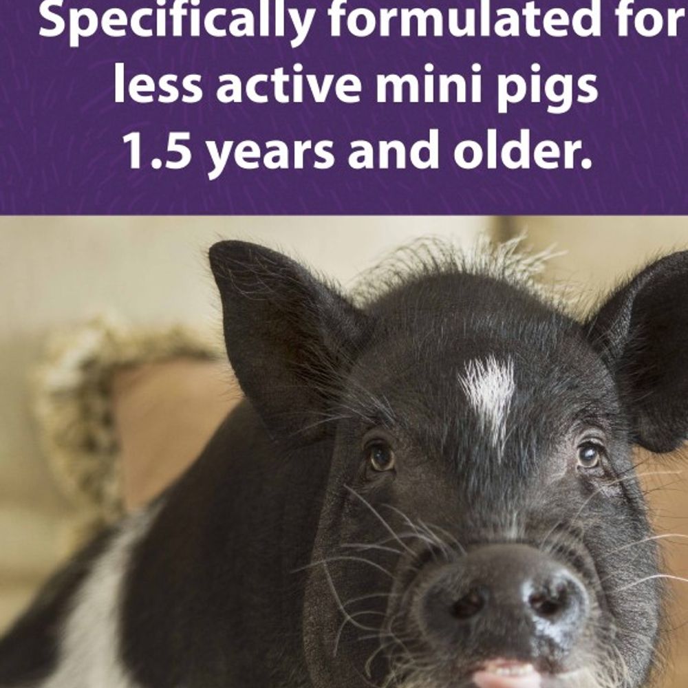 Mazuri, Mini Pig Mature Maintenance, 25 lb