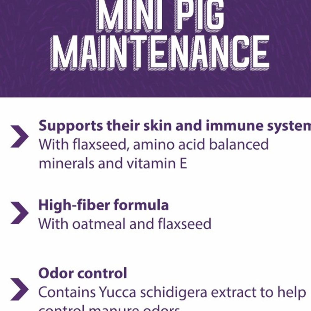 Mazuri, Mini Pig Mature Maintenance, 25 lb