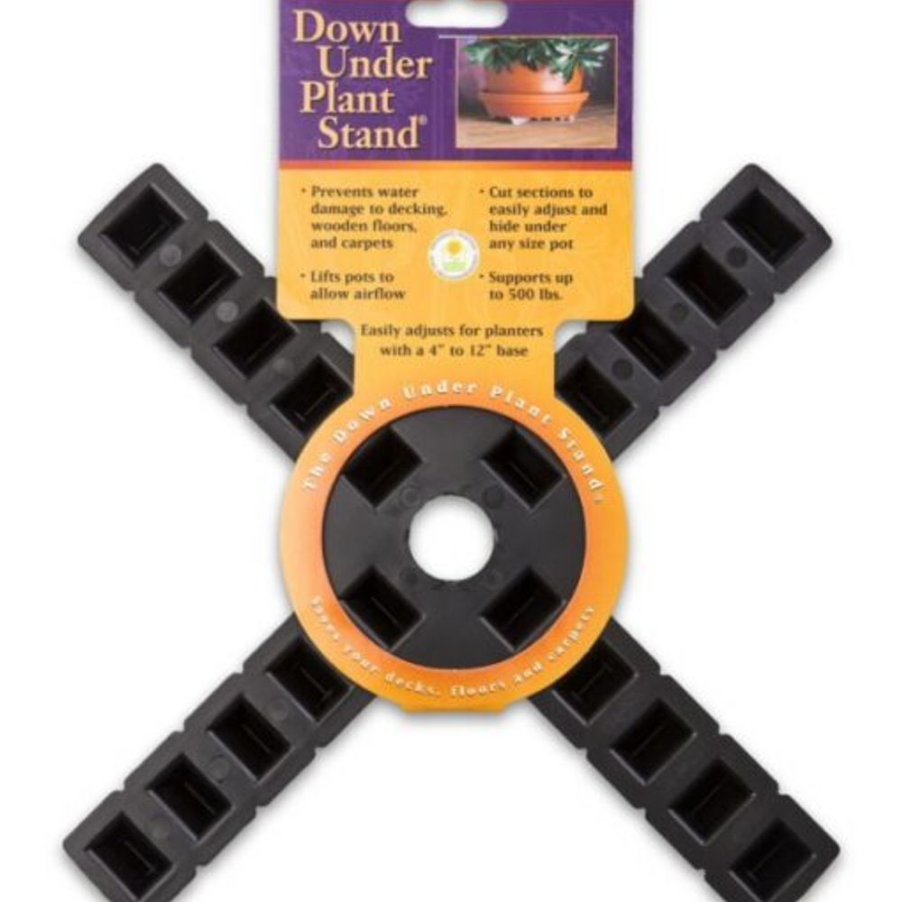 Down Under, 12" Table Top Plant Stand 