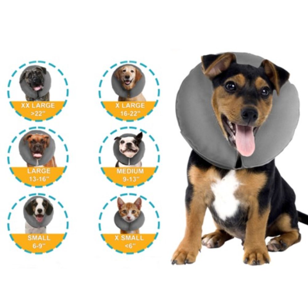 Zenpet, ZenCollar Inflatable Collar
