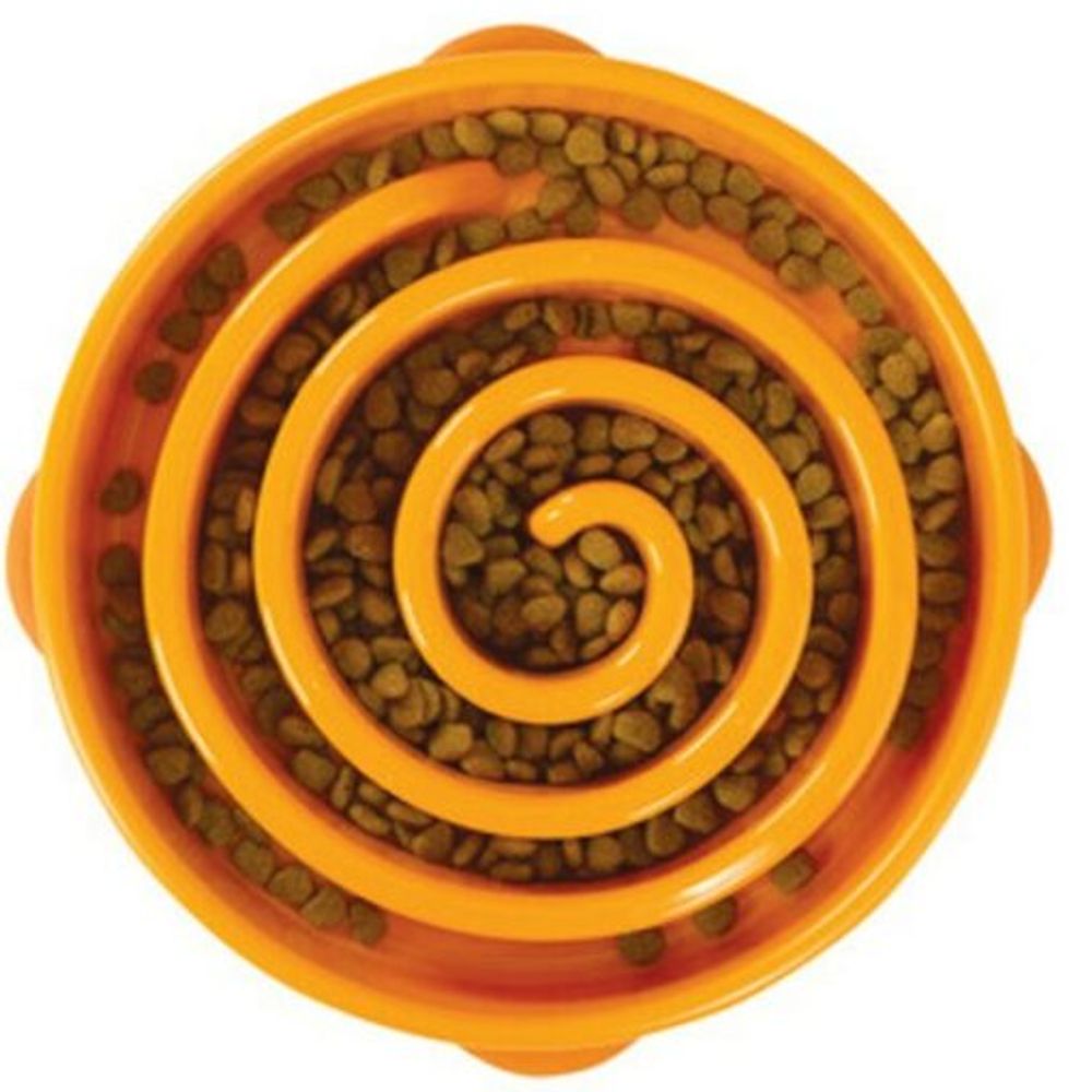 Outward Hound, Slow Feeder Dog Bowl
