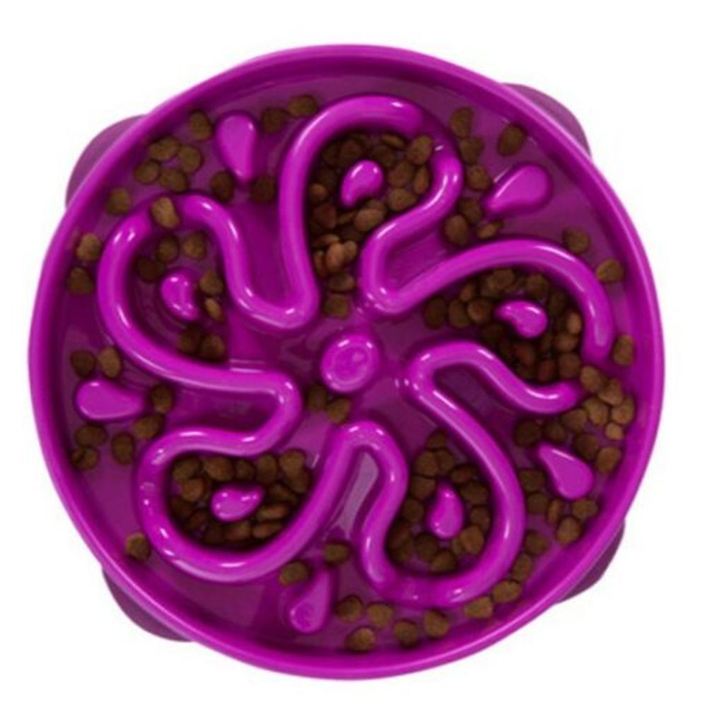 Outward Hound, Slow Feeder Dog Bowl