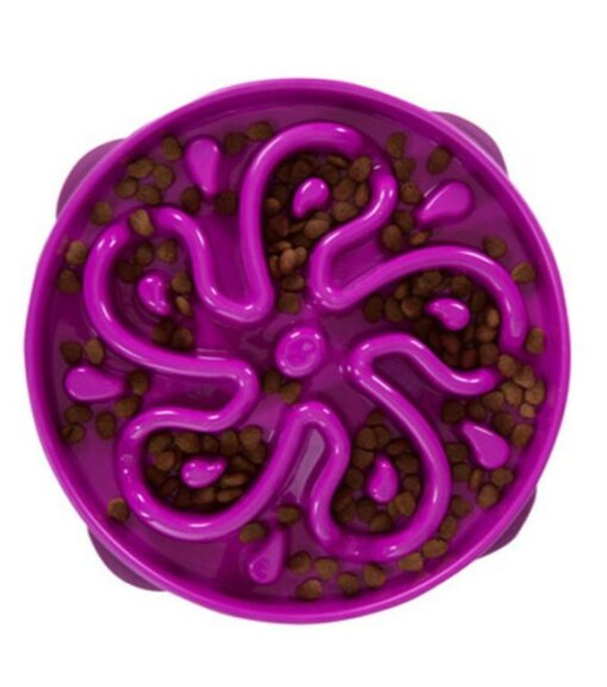 Outward Hound, Slow Feeder Dog Bowl