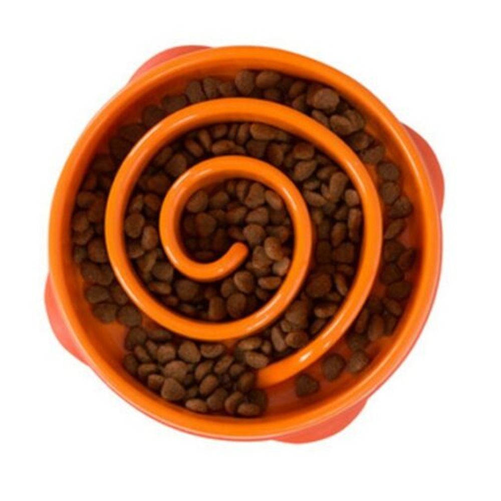 Outward Hound, Slow Feeder Dog Bowl