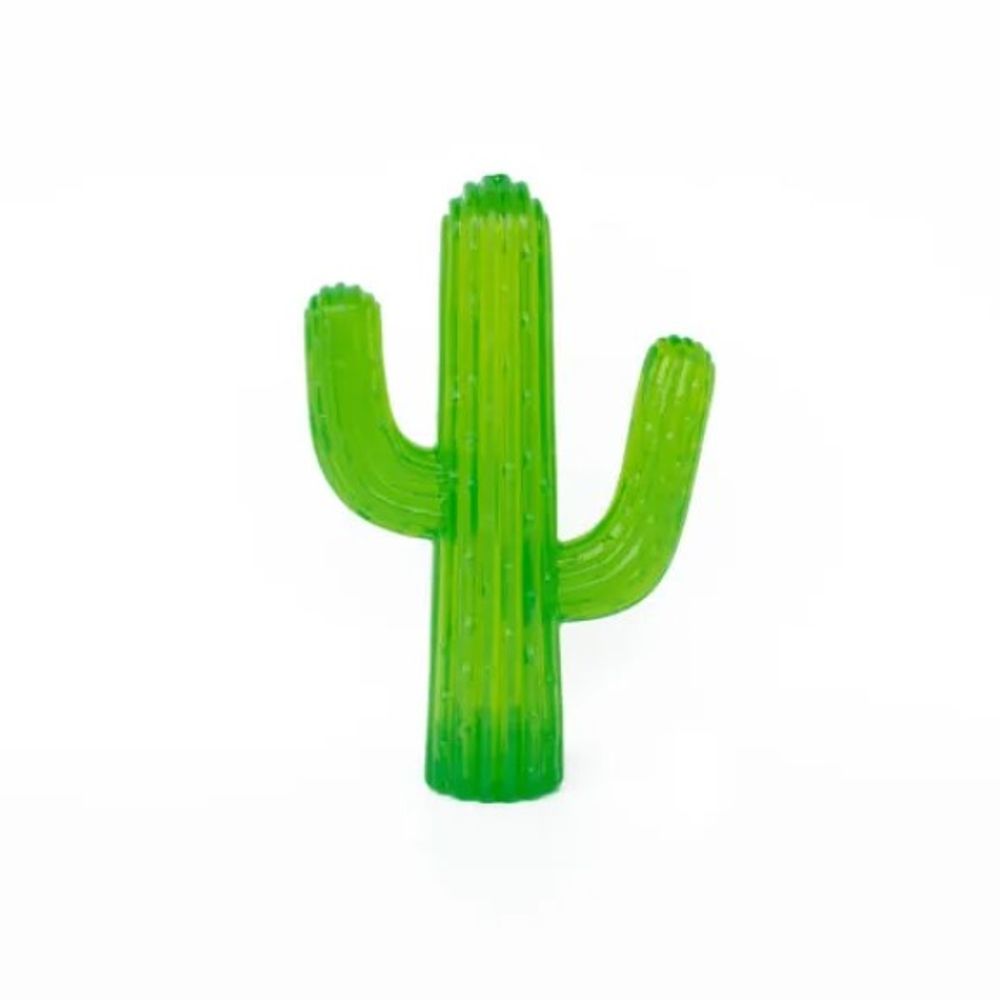cactus crystal Spirit Quartz Cluster | South African Cactus Quartz