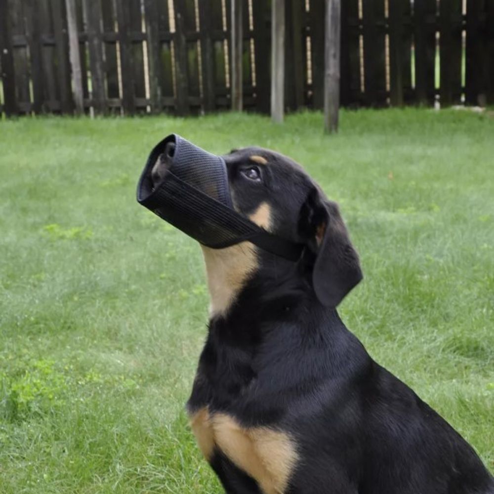 Coastal Pet Products, Best Fit Adjustable Mesh Dog Muzzle