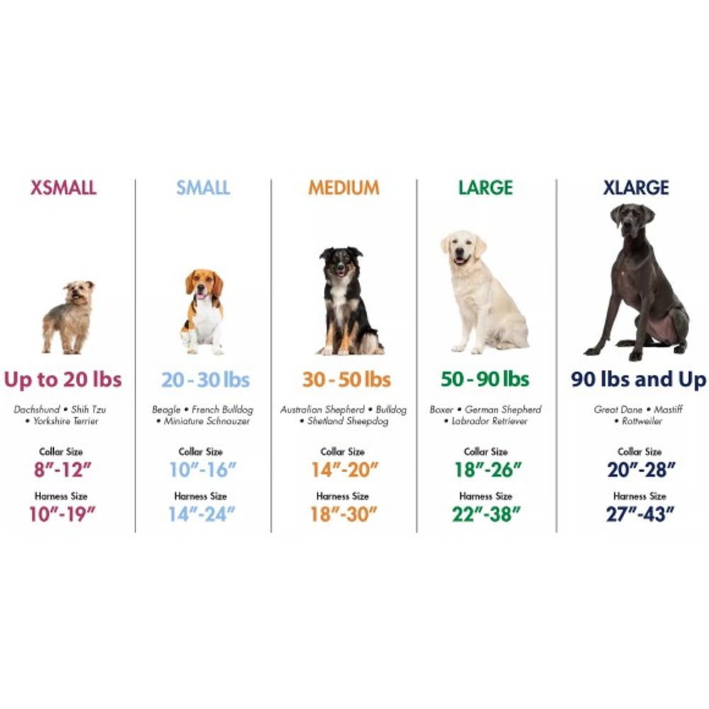 Coastal Pet Products, Morris Animal Foundation Styles Adjustable Dog Collar