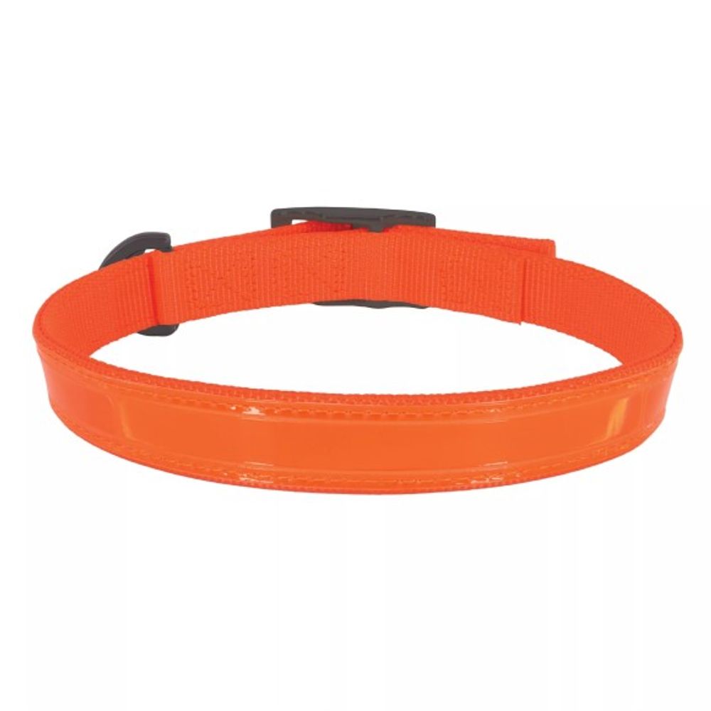 Coastal Pet Products, Water & Woods Orange Double-Ply Reflective Dog Collar