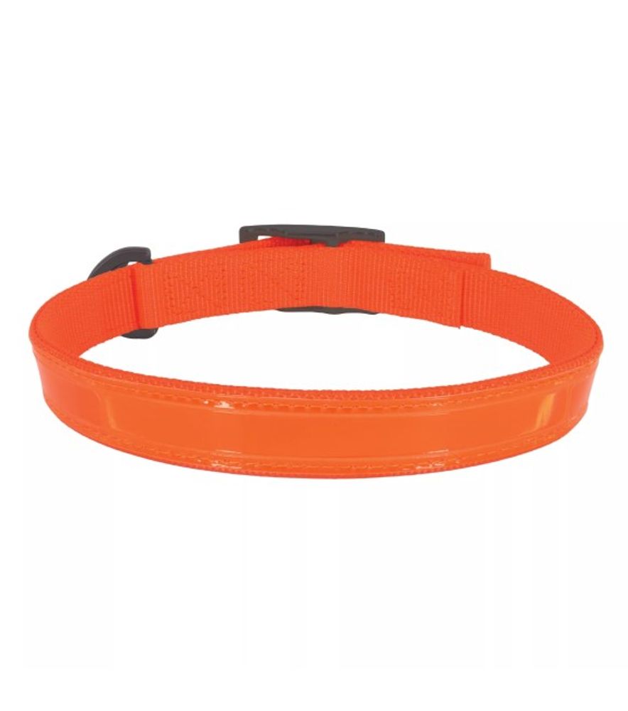 Coastal Pet Products, Water & Woods Orange Double-Ply Reflective Dog Collar