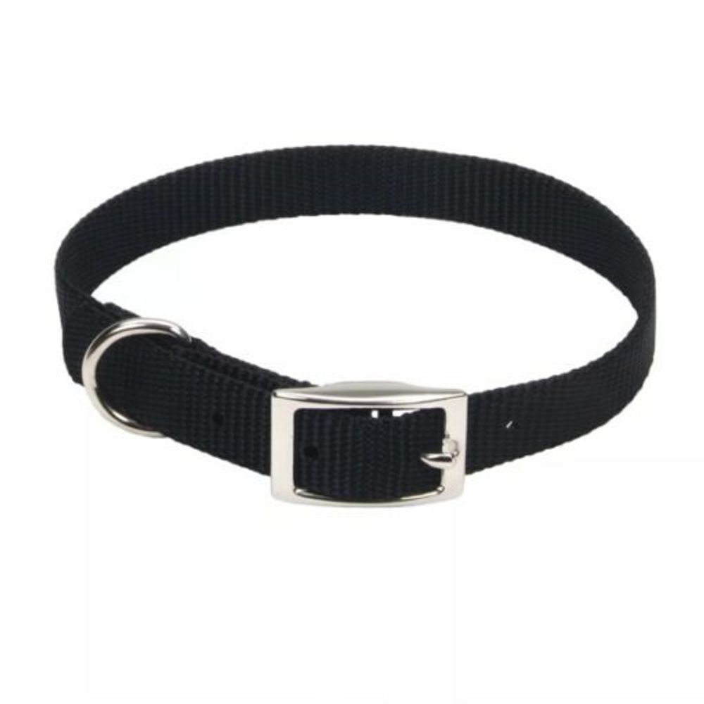 Coastal Pet Products, Coastal Single-Ply Dog Collar