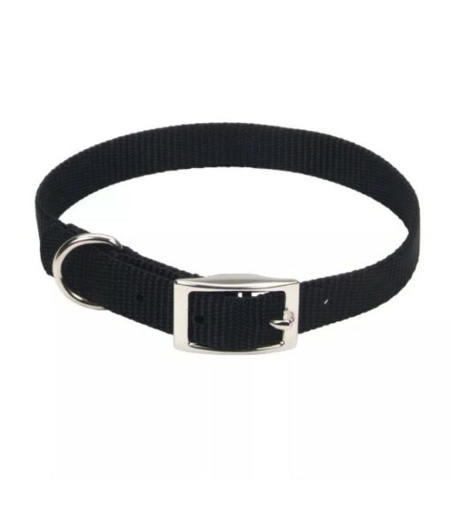 Coastal Pet Products, Coastal Single-Ply Dog Collar