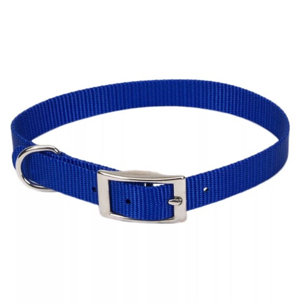 Coastal Pet Products, Coastal Single-Ply Dog Collar