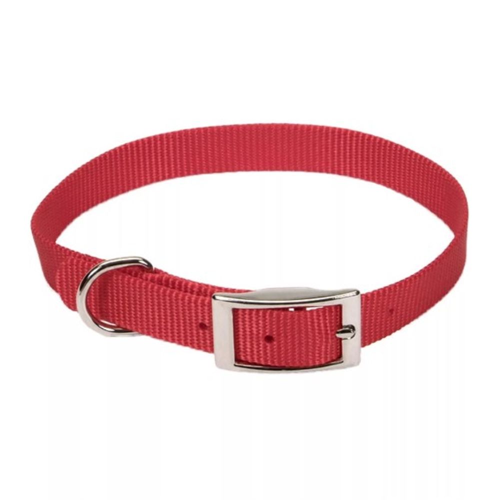 Coastal Pet Products, Coastal Single-Ply Dog Collar