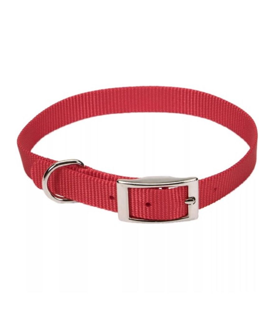 Coastal Pet Products, Coastal Single-Ply Dog Collar
