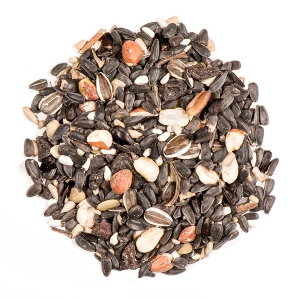 Nature's Nuts, Fruit & Berry Songbird Blend