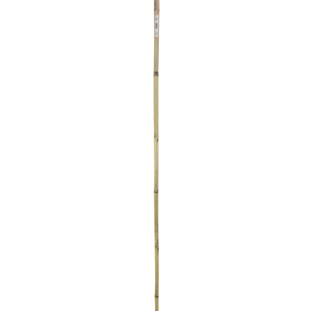 Gardener’s Blue Ribbon, 6' Super Bamboo Plant Stakes