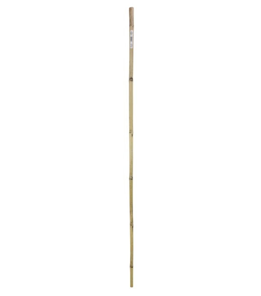Gardener’s Blue Ribbon, 6' Super Bamboo Plant Stakes
