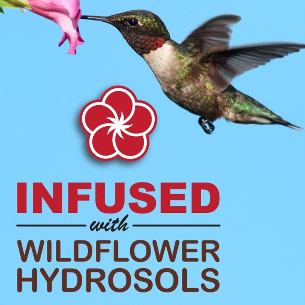 Sweet-Seed, Sweet-Nectar Hummingbird Nectar Concentrate, 1.5 L