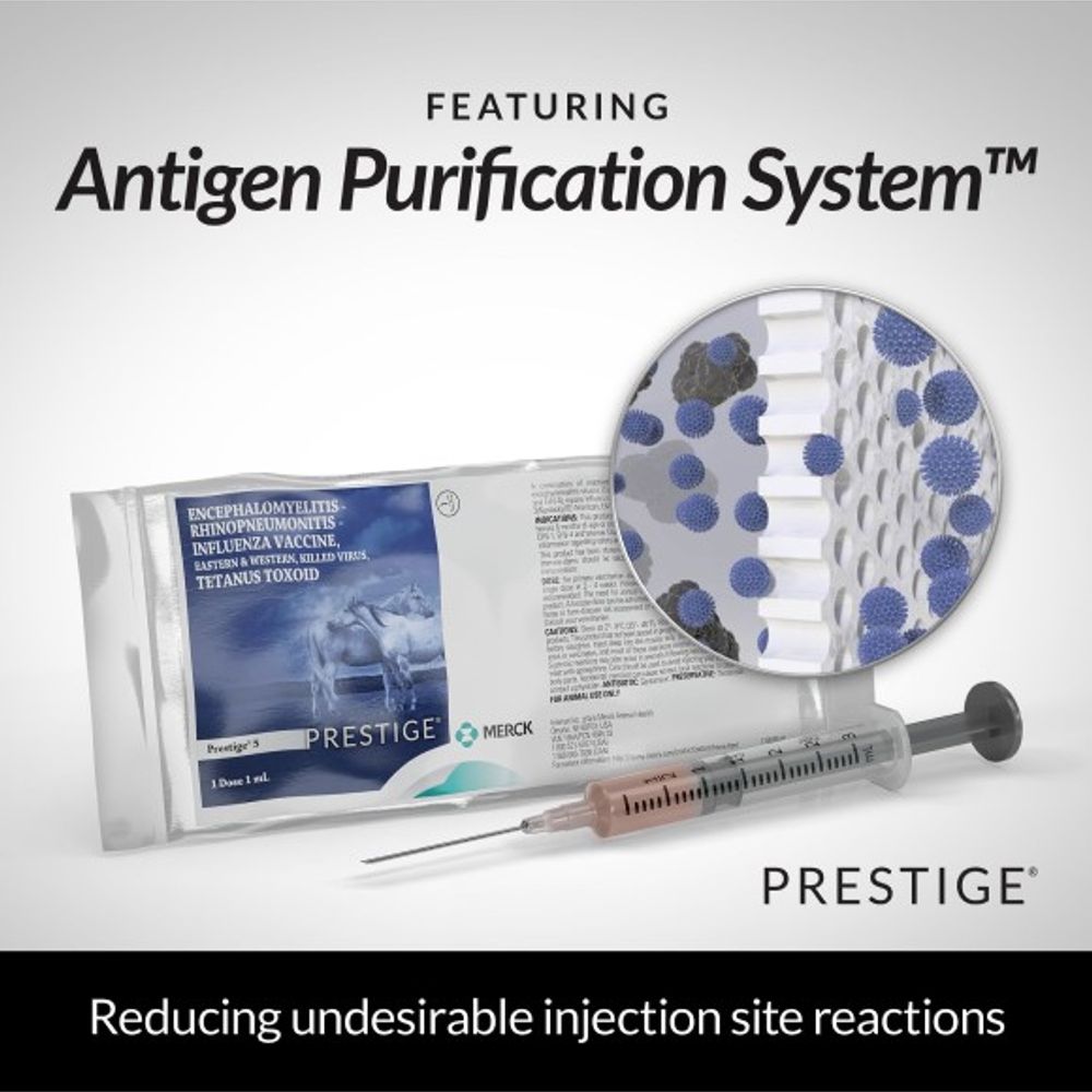 PRESTIGE 5 Single Dose, 1 mL