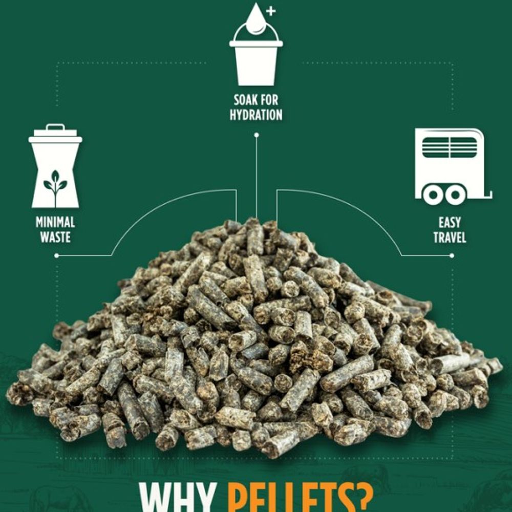 Standlee, Smart Beet Pulp Pellet, 40 lb