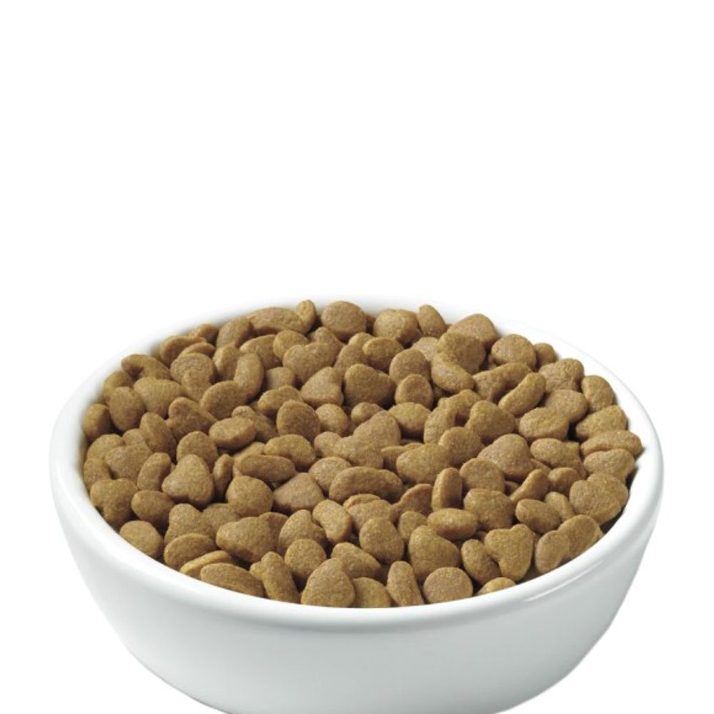 Purina Pro Plan, Adult Indoor Salmon & Rice Formula Cat Food, 3.5 lb