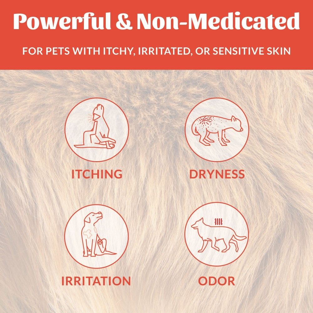 Skout's Honor, Probiotic Itch Relief Shampoo, 16 oz