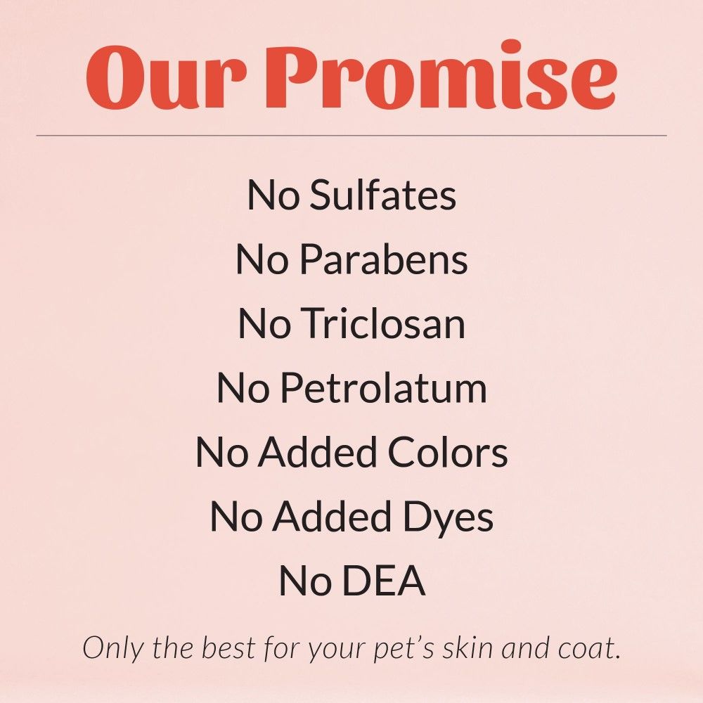 Skout's Honor, Probiotic Itch Relief Shampoo, 16 oz