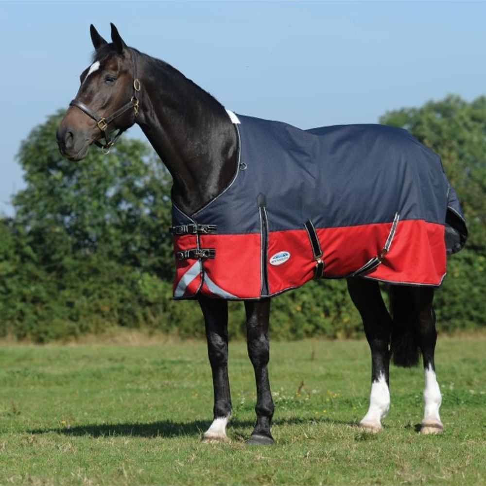 Weatherbeeta, Black Comfitec Plus Dynamic II Standard Neck Medium 