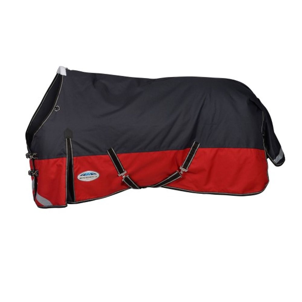 Weatherbeeta, Black Comfitec Plus Dynamic II Standard Neck Medium 