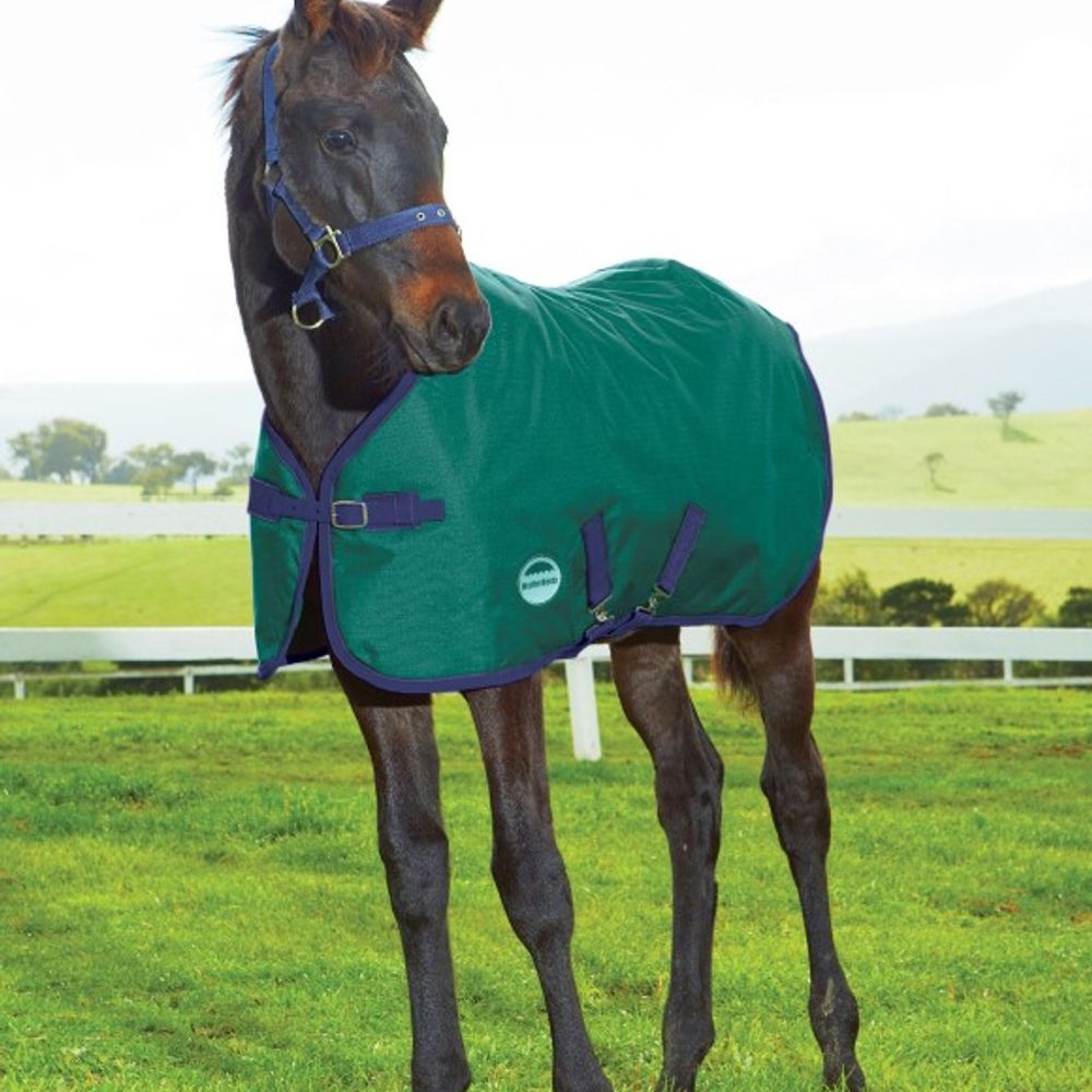 Weatherbeeta, Hunter Green 1200D Foal Standard Neck Medium II