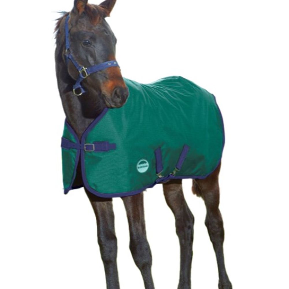Weatherbeeta, Hunter Green 1200D Foal Standard Neck Medium II