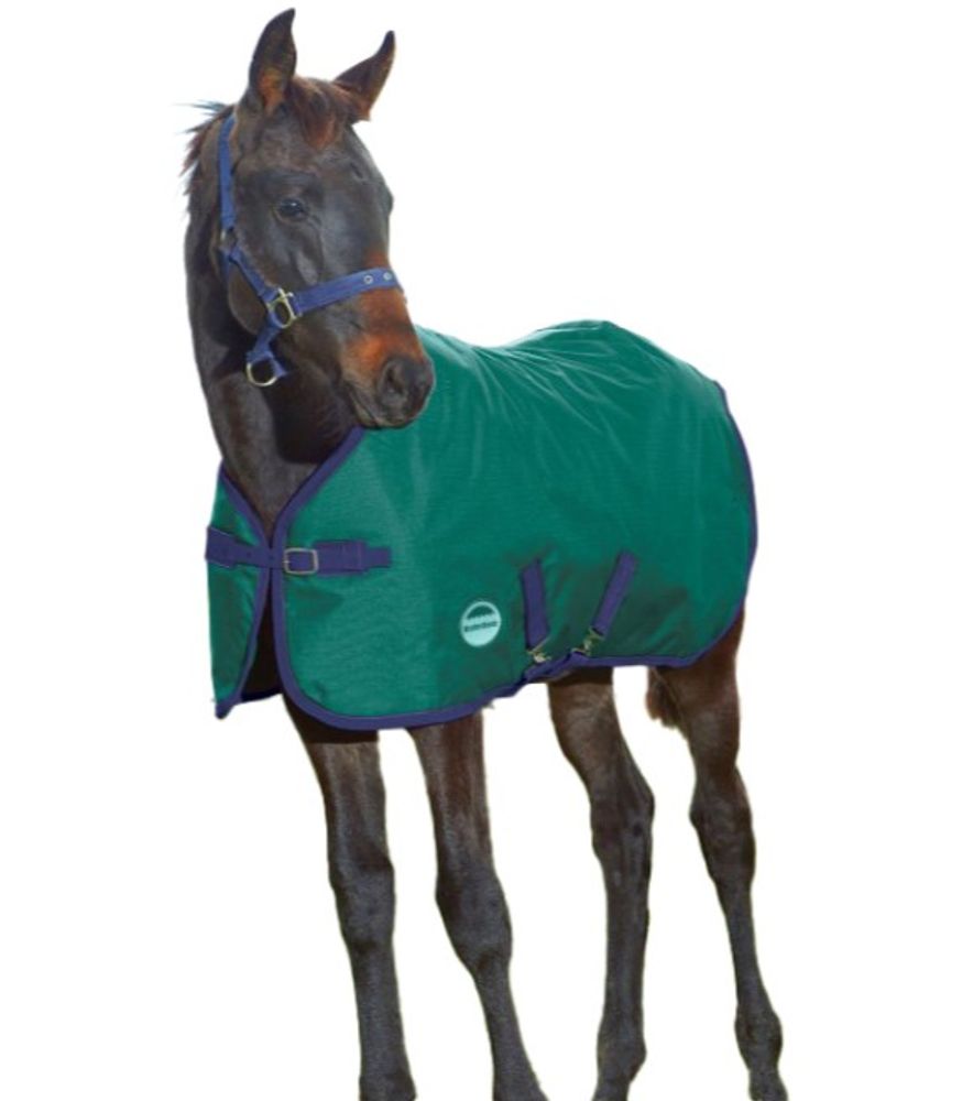 Weatherbeeta, Hunter Green 1200D Foal Standard Neck Medium II