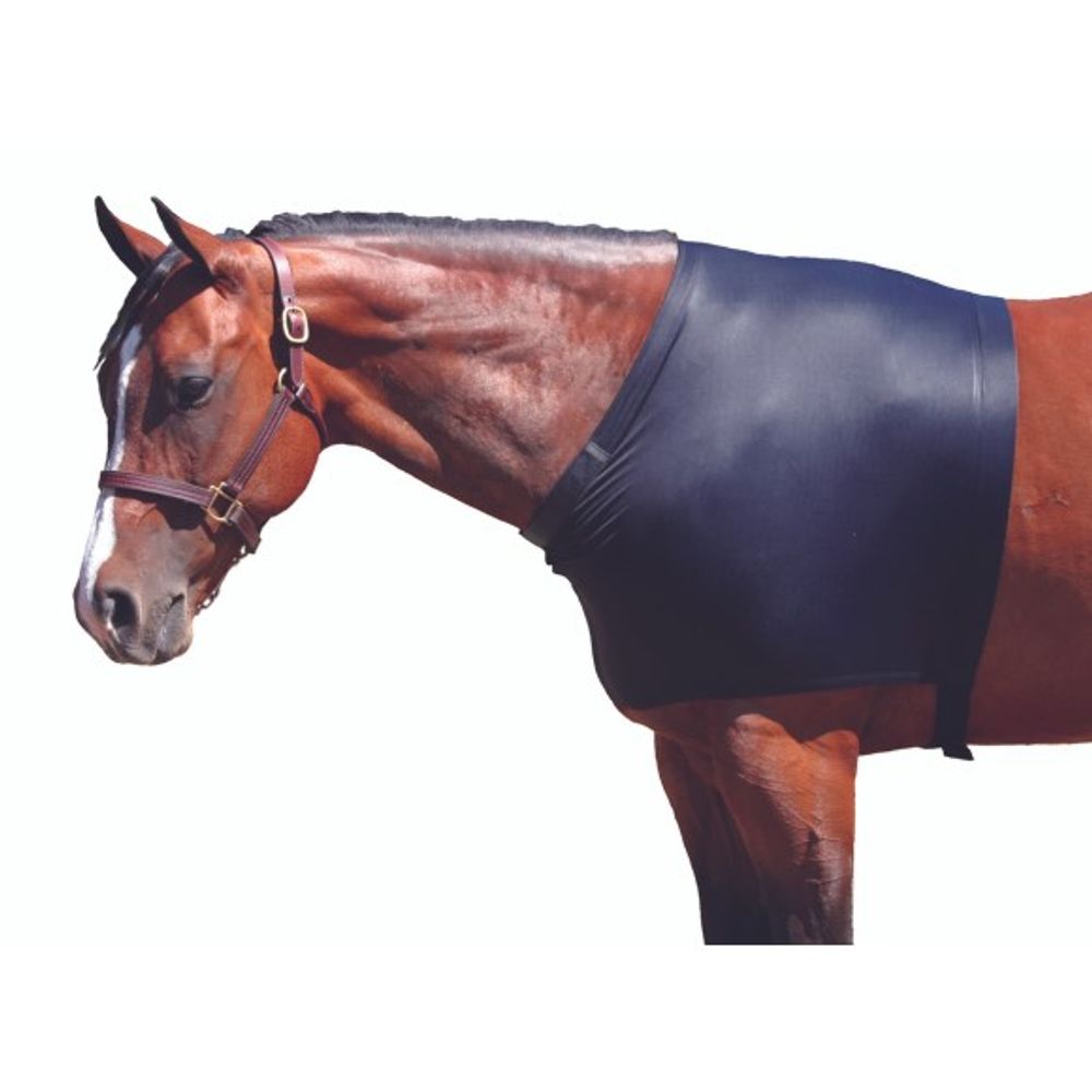 Sleazy Sleepwear For Horses, Black Medium Shoulder Guard 