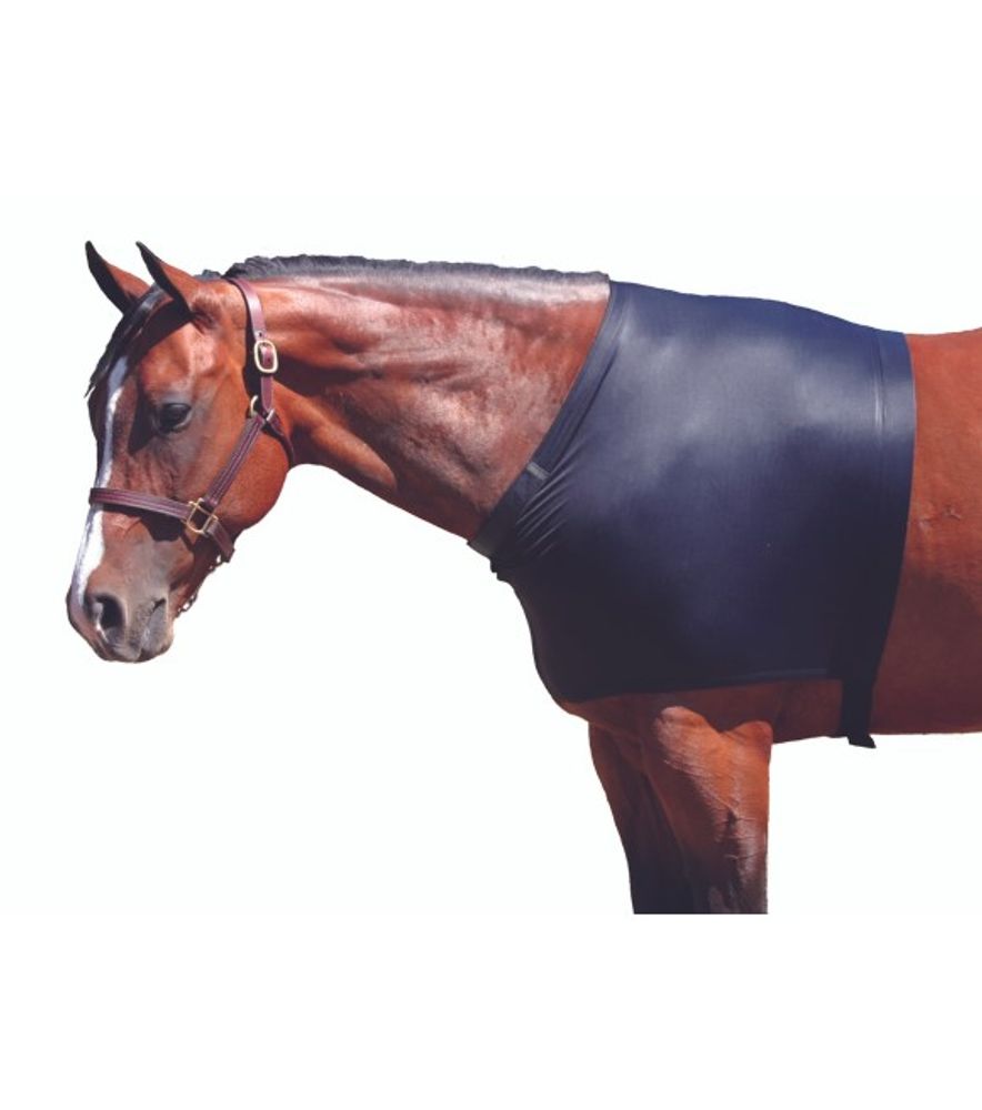 Sleazy Sleepwear For Horses, Black Medium Shoulder Guard