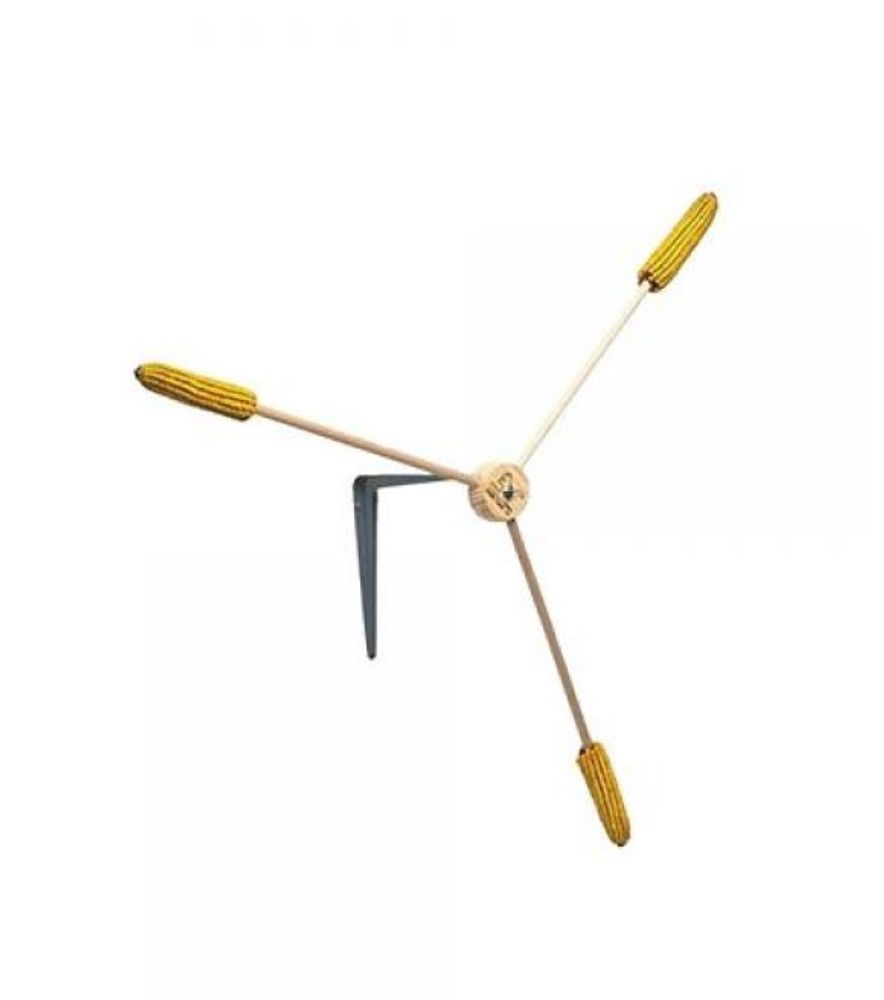 Gold Crest, Squirrel A Whirl