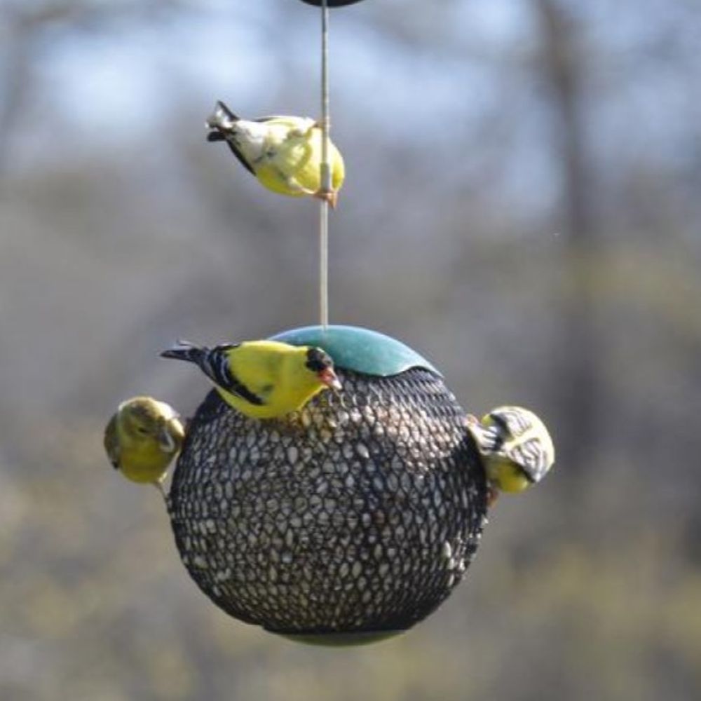 Gold Crest, Green Seed Sphere Bird Feeder