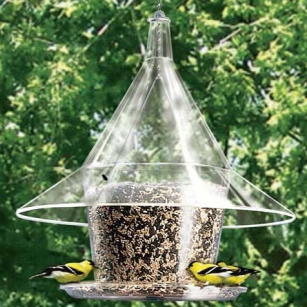 Gold Crest, Mandarin Sky Cafe and Clear Baffle Bird Feeder