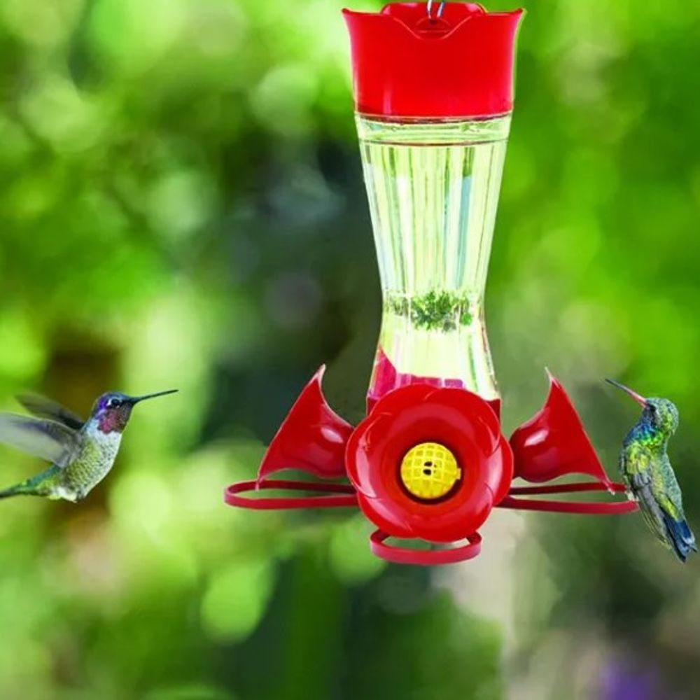 Perk-Pet, Pinch-Waist Glass Hummingbird Feeder, 8 oz