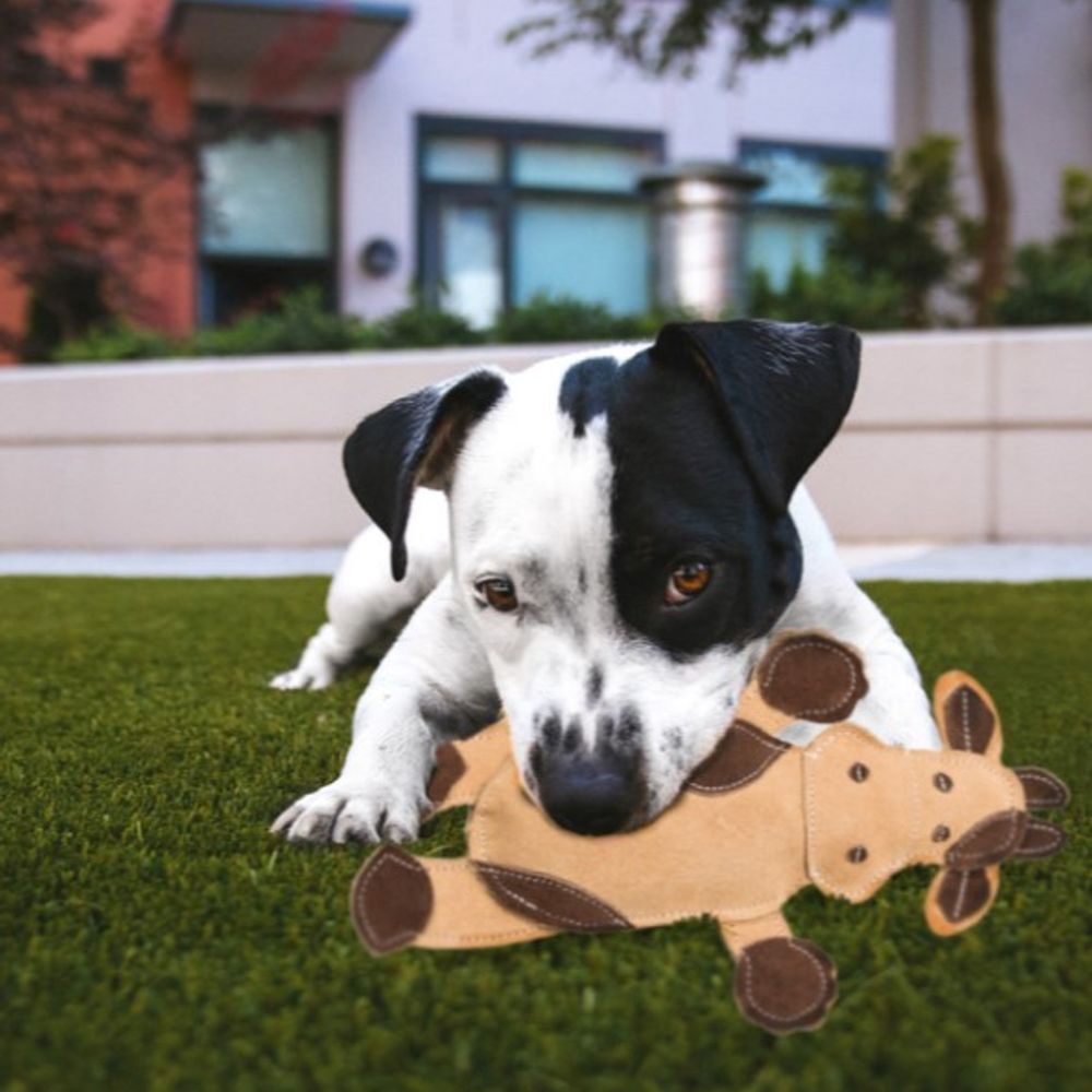 Ethical Products, Dura-Fused 11" Leather Barnyard Dog Toy