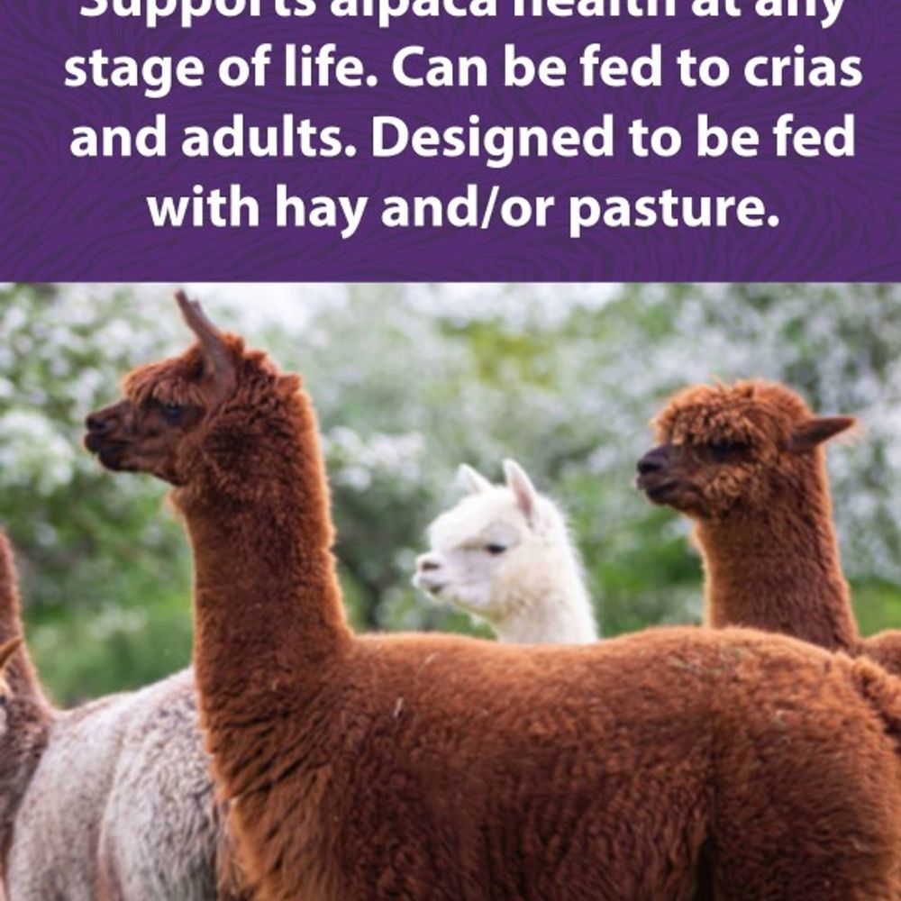 Mazuri, Alpaca Care, 40 lb