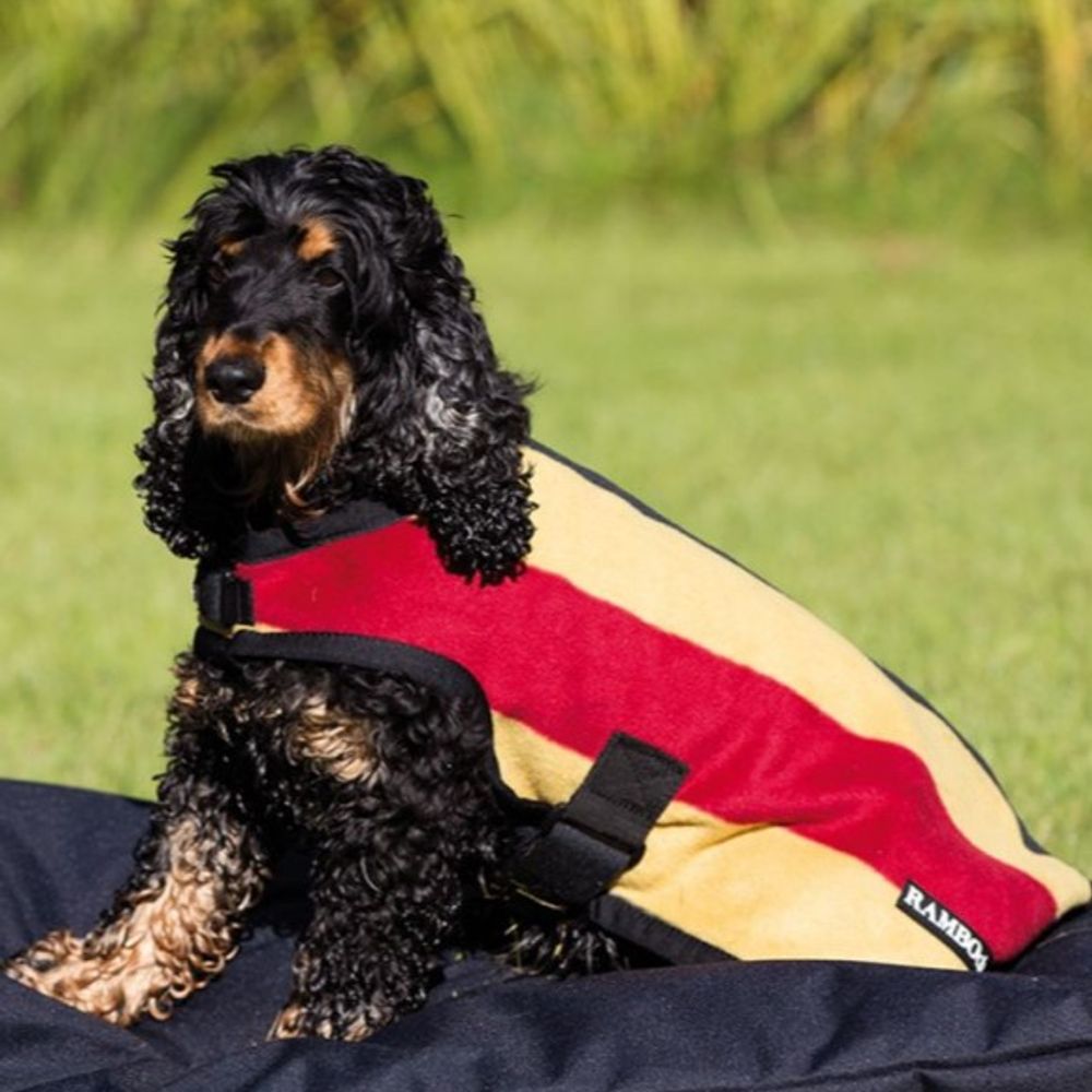 Horseware Ireland, Rambo Gold Deluxe Dog Coat (No Fill)