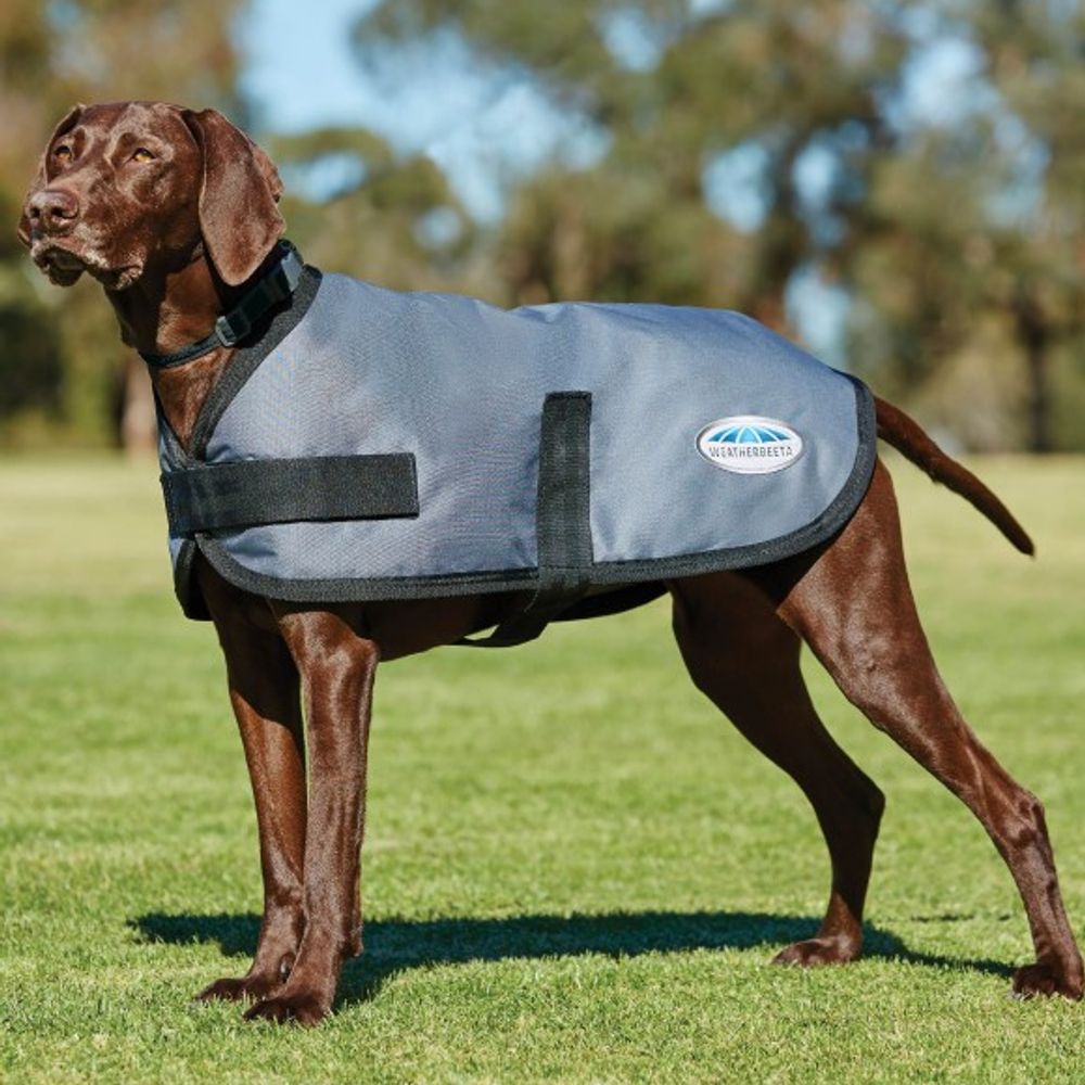 Weatherbeeta, Gray Comfitec Clasic Dog Coat