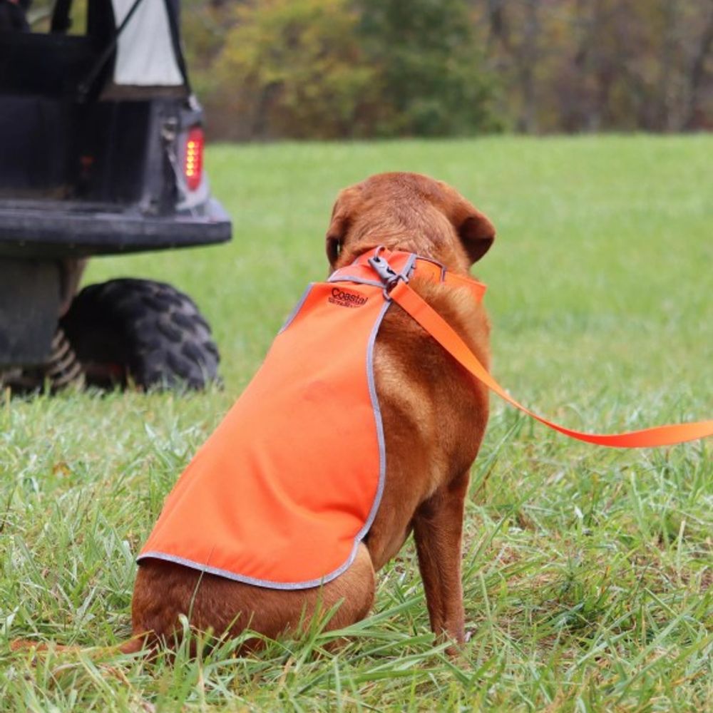 Coastal Pet Products, Water & Woods Orange Reflective Dog Safety Vest
