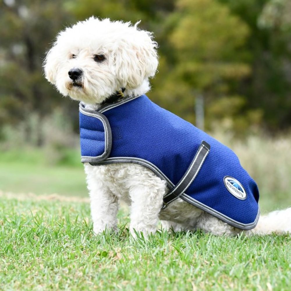 Weatherbeeta, Dark Blue & Gray Comfitec Medium Premier Free Parka Dog Coat