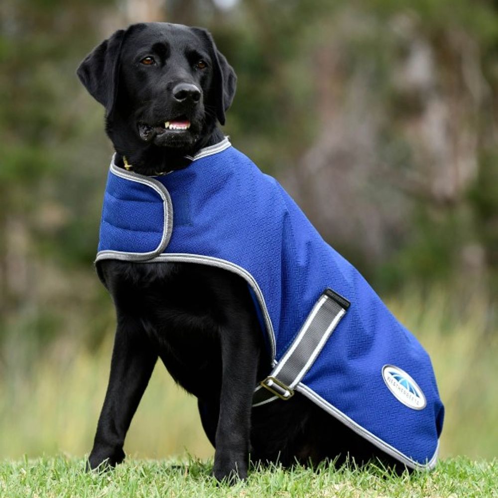 Weatherbeeta, Dark Blue & Gray Comfitec Medium Premier Free Parka Dog Coat