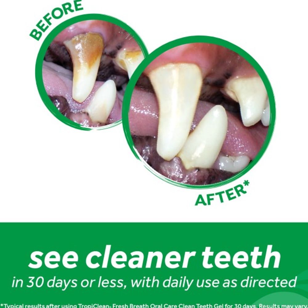 Tropiclean, Fresh Breath Oral Care Gel For Dogs, 4 oz