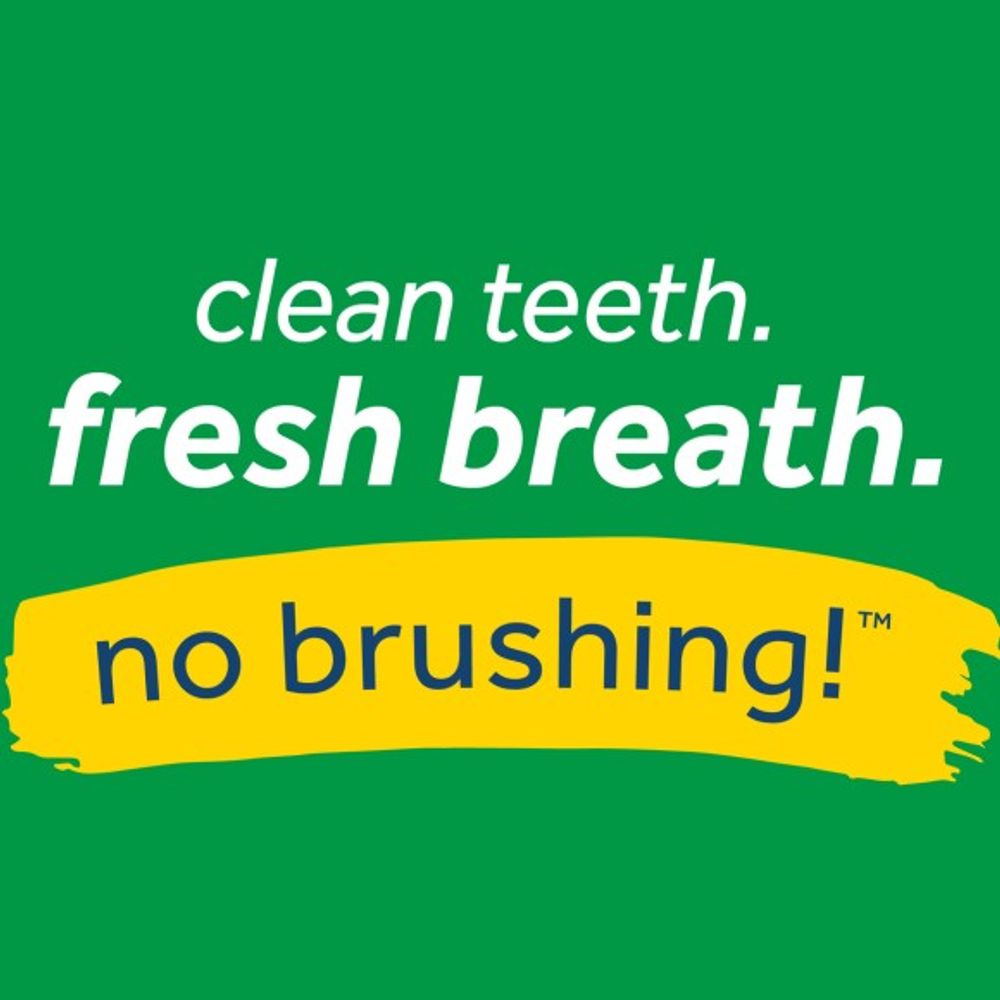 Tropiclean, Fresh Breath Oral Care Gel For Dogs, 4 oz