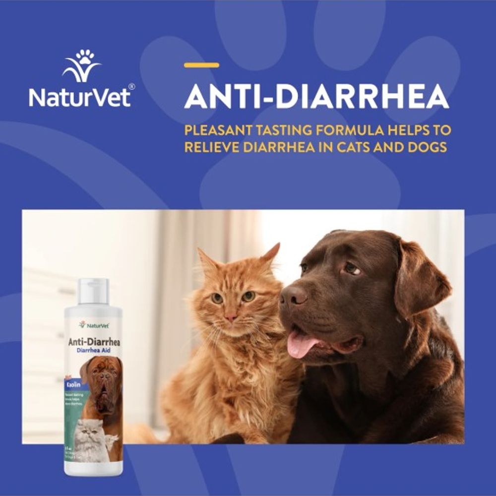 NaturVet, Anti-Diarrhea Liquid For Dog & Cat, 8 oz