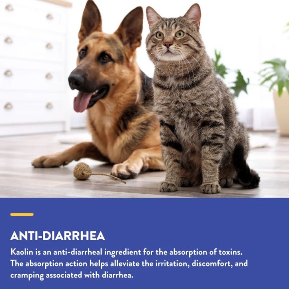 NaturVet, Anti-Diarrhea Liquid For Dog & Cat, 8 oz