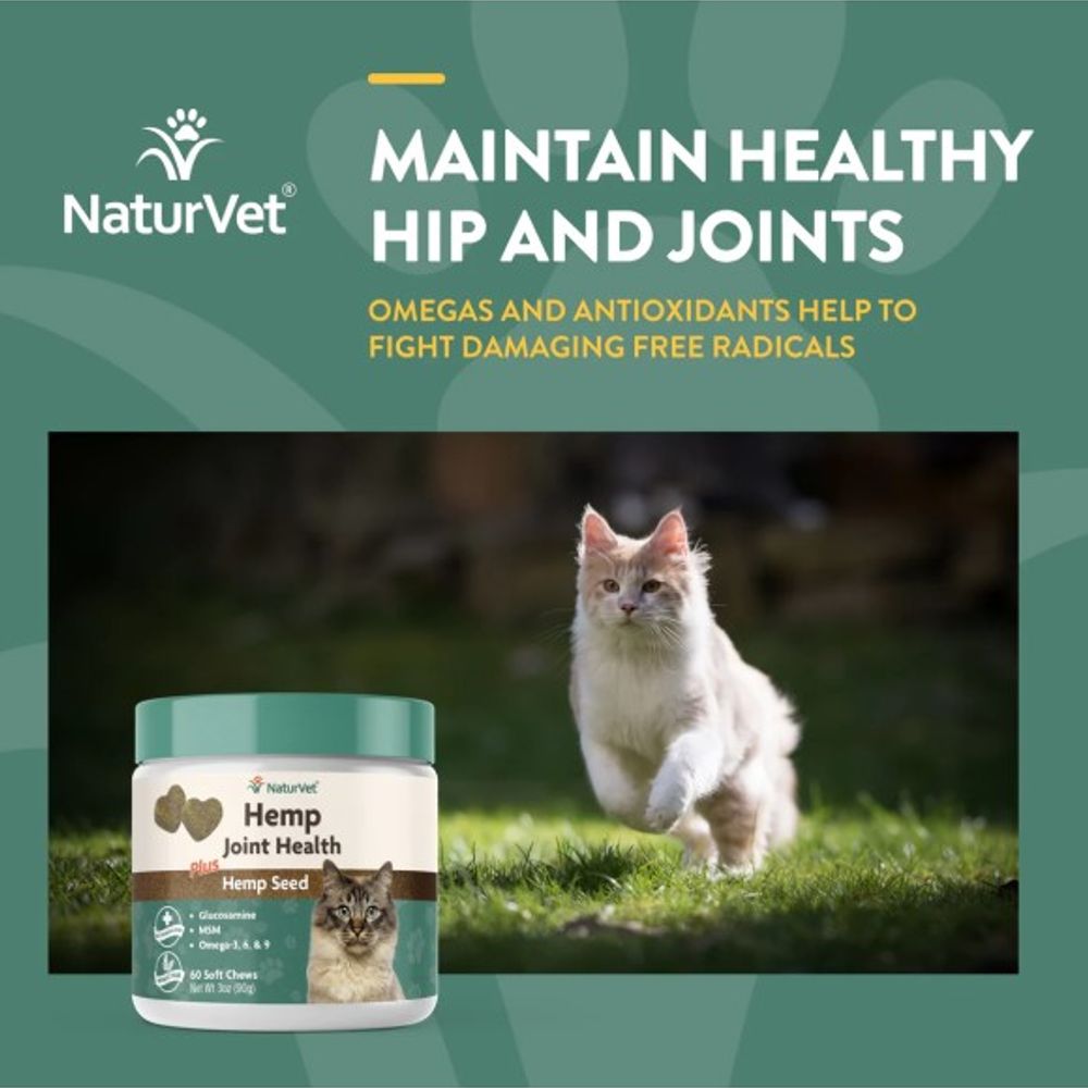 NaturVet, Hemp Joint Health Soft Chews For Cats, 60 ct